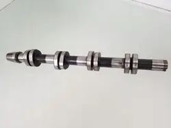 Arbre à cames ARA121975 pour Audi A3 S3 8P 2004