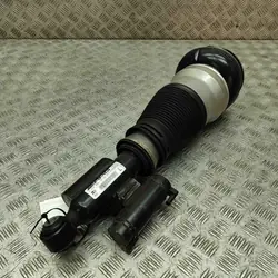 Amortisseur pneumatique arrière gauche OEM A2173201313