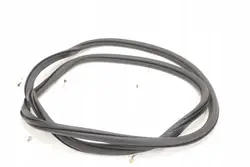 VW Polo 2G0 Türdichtung vorne rechts OEM 2G4867912B