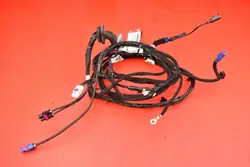 Harness OEM 2004429-00-A Portón Tesla Model S 16-21