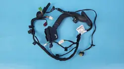 Mercedes EQE W295 Deur Kabelboom OEM A2955401910