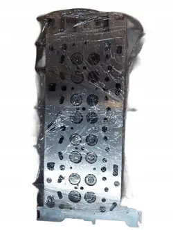 Cabeça completa Renault Trafic Opel Vivaro B 110422959R