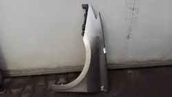 Renault OE Främre vänster skärm