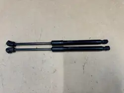 Tesla Model 3 Motorhaubenstütze OEM 1645989-00-A R+L