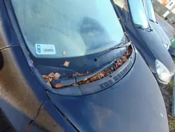 Defletor de água OEM NH-731P para Honda Civic VIII Sedan