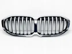 BMW 1 F40 Luxury Grill Front