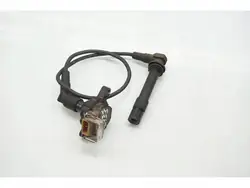 Bobina di accensione Land Rover Freelander 2.5 V6 4x4