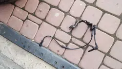 Sensor ABS Frontal Renault Clio Captur 479107405R