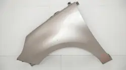 Guardabarros delantero izquierdo OEM 360203687 Renault Scenic III