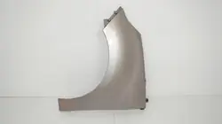 Garde-boue avant gauche OEM 360203687 Renault Scenic III