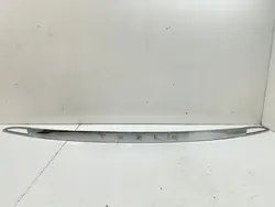 Tesla Model S Bakre registreringsskyltbelysning OEM 0885600C