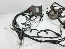 LPG Gas Tech 500S Injektor Klinge Verdampfer OEM 67R-013949