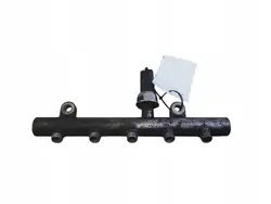 Volvo S40 2005 Brandstofrail