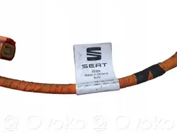 Câble de charge Cupra Leon EV OEM 1EA915651C
