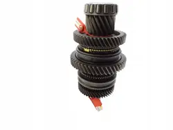 Rueda Dentada A02M311251K para Audi A3 8P 2.0 TDI