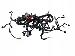 Motor-Kabelbaum Mitsubishi 8541H246 8541G158