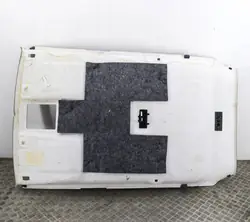 Ford Fiesta VII Pavillon 2019 H1BB-A51916-BD3ZHE