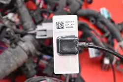 Faisceau électrique Tesla OEM 3135153-05-C pour Model S Performance