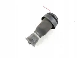 BMW X5 E70 Hintere Luftfeder OEM RZV69423
