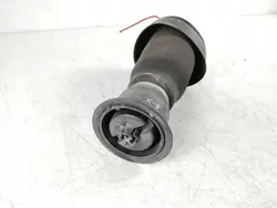 Ressort pneumatique arrière BMW X5 E70 OEM RZV69423