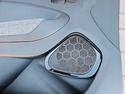 Pannello porta anteriore sinistro Renault Zoe 809015465R