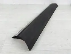 OEM 801869320Re Vordere Rechte Türleiste