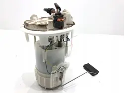 Brandstofpomp CITROEN C3 III 1.2 83PK 9815895380