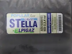 Contrôleur de gaz AE616000103 - Stella Elpigaz