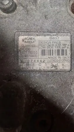 Compressori aria condizionata Fiat Palio 2001 OEM 507775000