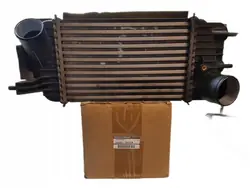 Intercooler 14461-1KC0A Nissan Juke 1.6T DIG-T F15