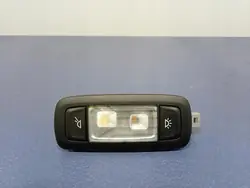 Luz Teto BMW X7 G07 G05 Direita Traseira OEM 7911116