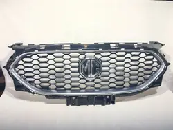 MG ZS Kühlergrill OEM 10633336 - Gebraucht