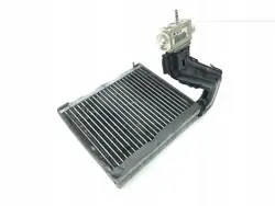 Núcleo del Calentador Land Rover OEM FA992001 - Usado