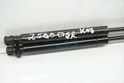 Chrysler 300C Bagageluckstötdämpare OEM 04589589AA 2008