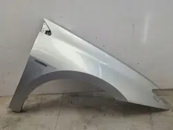 RENAULT LAGUNA III Rechte Vorderseite Kotflügel TED69