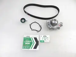 Bomba de agua Schaeffler INA + Kit de correa de distribución