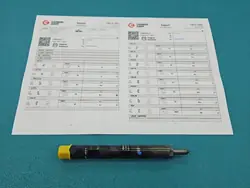 Geteste injector OEM EJBR01801Z voor Renault Megane II