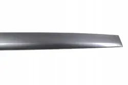 OEM 808776304R Garniture Porte Avant Gauche Bas Renault