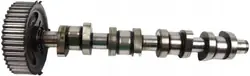 Polia do eixo de comando OEM 038109111E Volkswagen Sharan