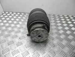 Suspensão Pneumática Mercedes-Benz EQC 2020 Traseira Direita A205320012