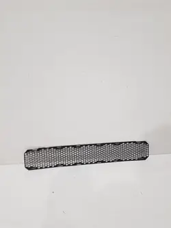 Front-Lüftungsgitter OEM DXC100260 für Land Rover