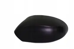BMW Z4 E85 Peilipeite Vasen OEM B0-0L J29 USD