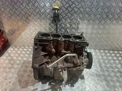 Bloque Motor OEM PU25789 para Renault Scenic III
