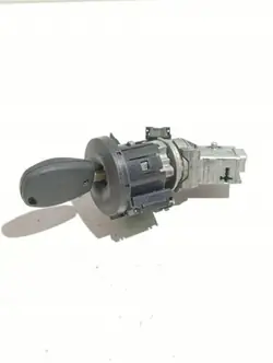 Interruptor de Encendido OEM N0502064 para Renault Kangoo