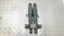 Ammortizzatore posteriore Opel Zafira B 2006 OEM 13198718