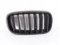 BMW X5 F15 M-Paket Performance Right Grill