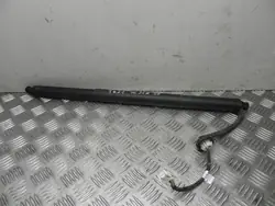 Gasfeder Tesla Model Y OEM 1500601-00-A