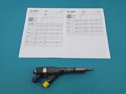 Injecteur testé OEM 0986435077 pour Citroen Jumper 2.0 HDI