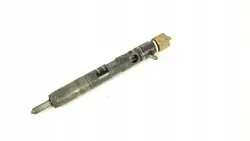 Inyector Delphi Renault Kangoo Clio Megane 1.5 DCI