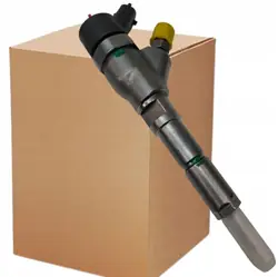 Injecteur Peugeot Citroen Fiat 2.0 HDI 0445110062